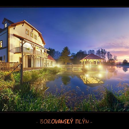 Borovansky Mlyn Borovany  Ngoại thất bức ảnh